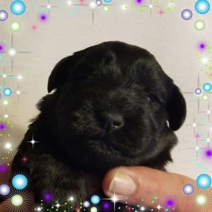 Meet your Posher, Connie